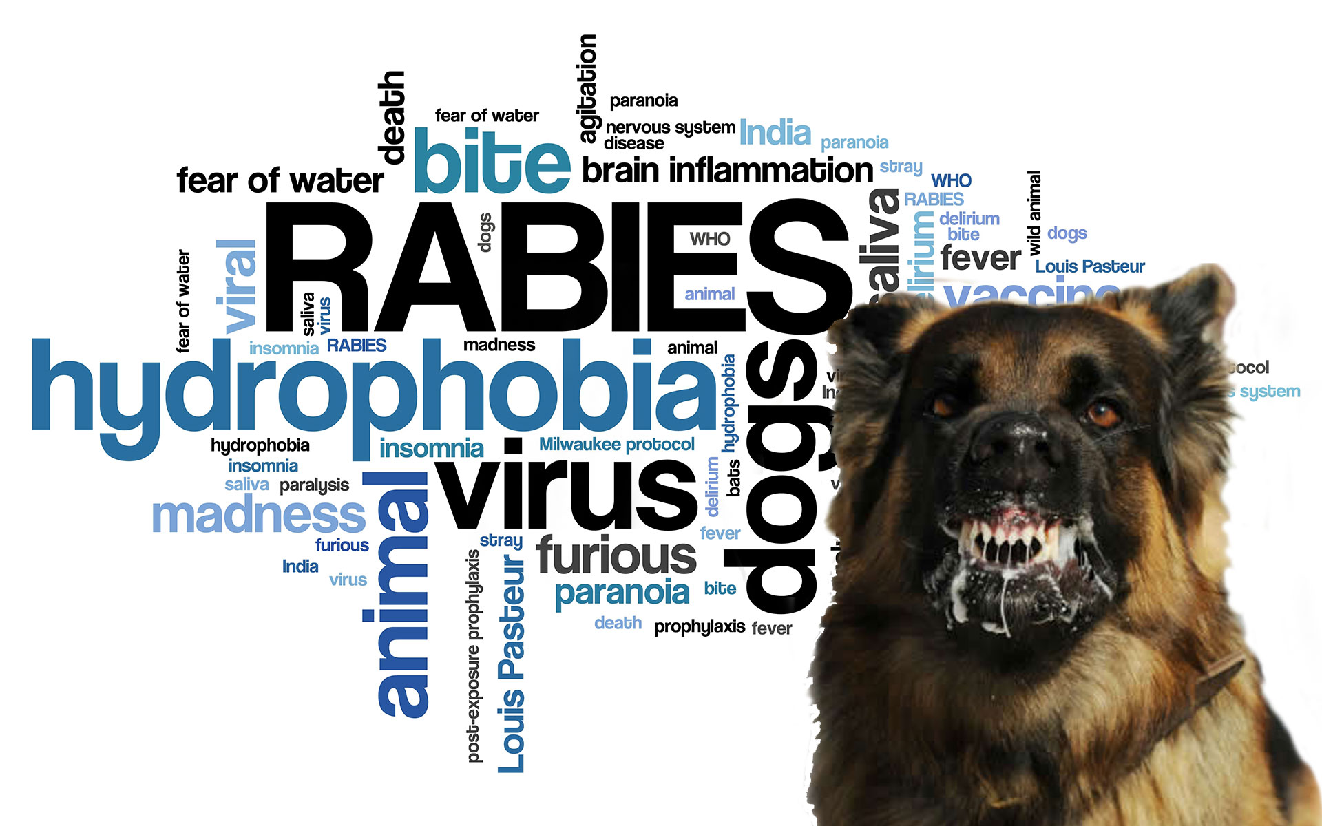 thesis topics on rabies